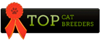 Best catteries<br> in the world